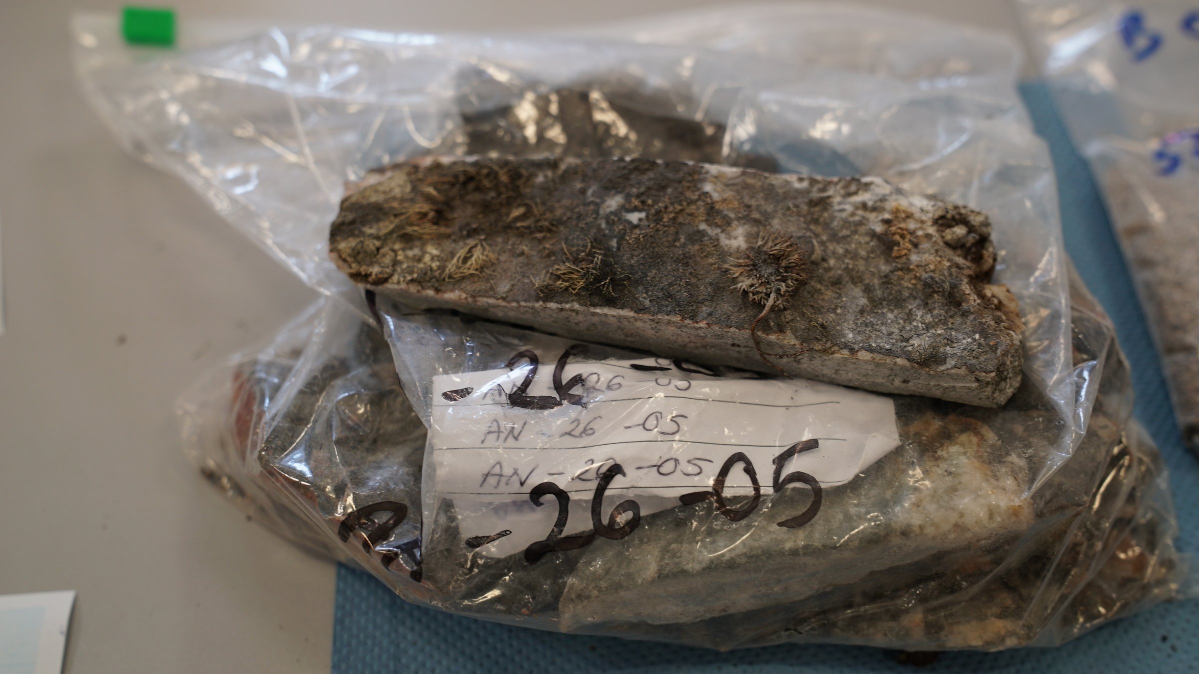 Labelled rock samples in zip-lock bags marked AN-26-05, collected in Antarctica for cosmogenic-nuclide dating
