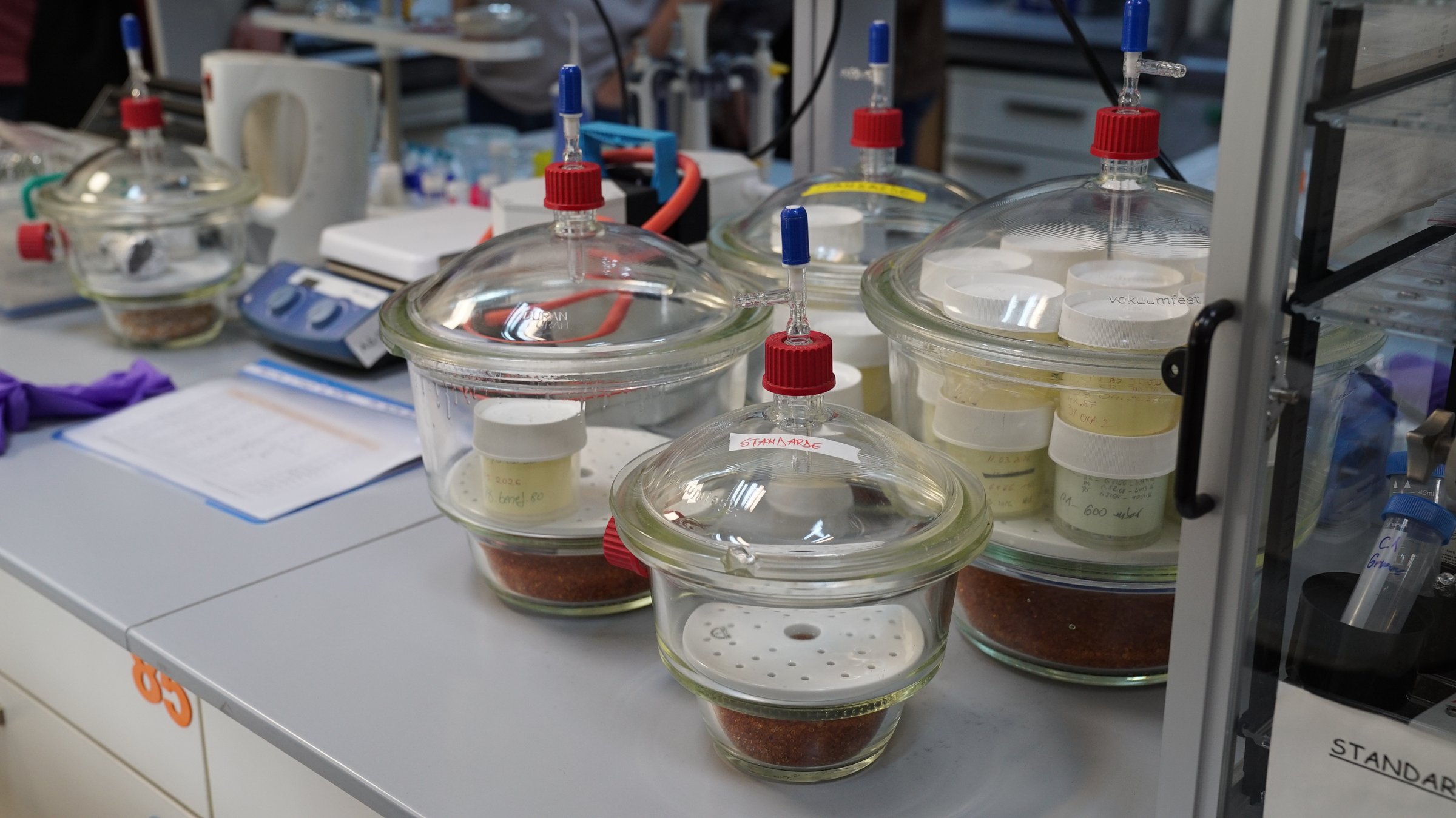 Samples drying in vacuum desiccators, including labelled radiocarbon standards